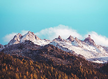 爱游戏官网-东契奇高效半场三双詹姆斯20分 湖人142-111大胜奇才